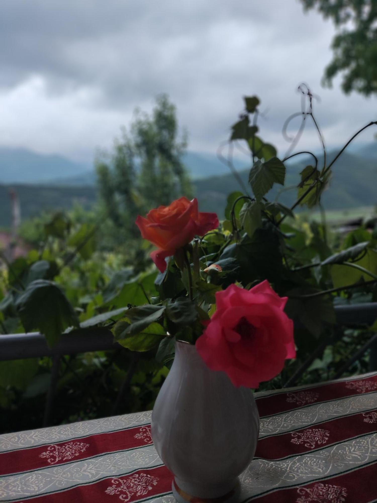 Anush'S B&B Tatev Værelse billede