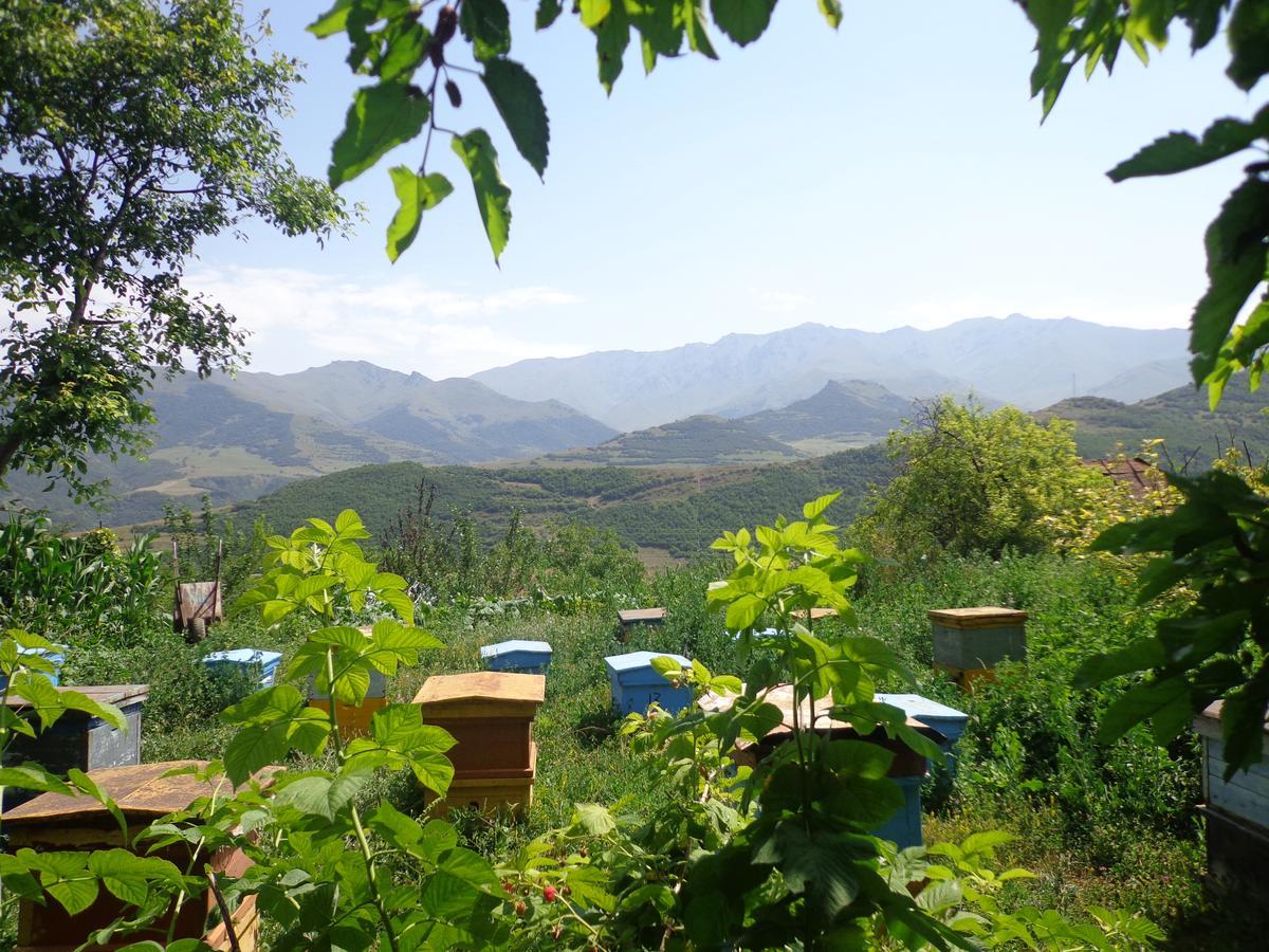 Anush'S B&B Tatev Eksteriør billede