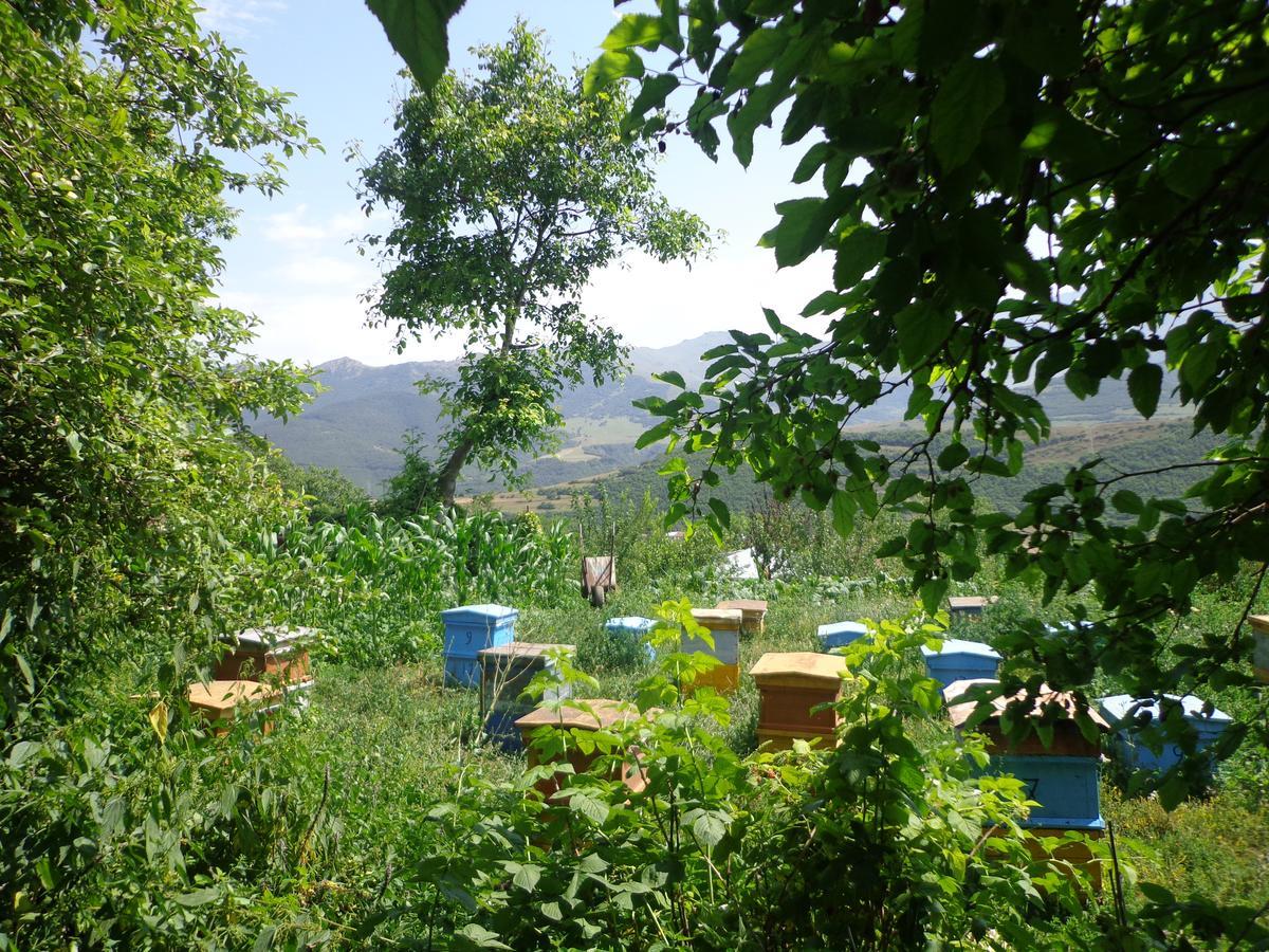 Anush'S B&B Tatev Eksteriør billede