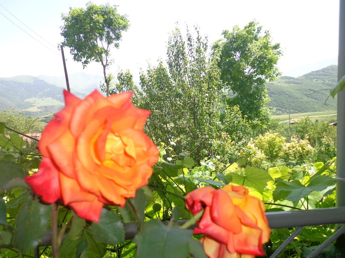 Anush'S B&B Tatev Eksteriør billede